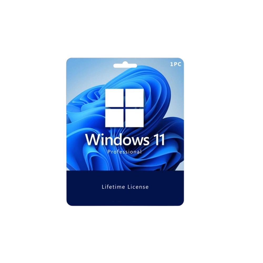 WINDOWS 11 PRO,
