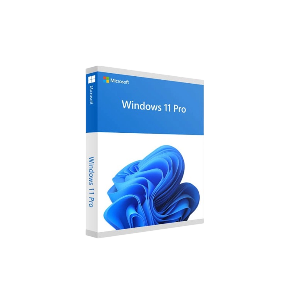 WINDOWS 11 PRO OEM LICENCES