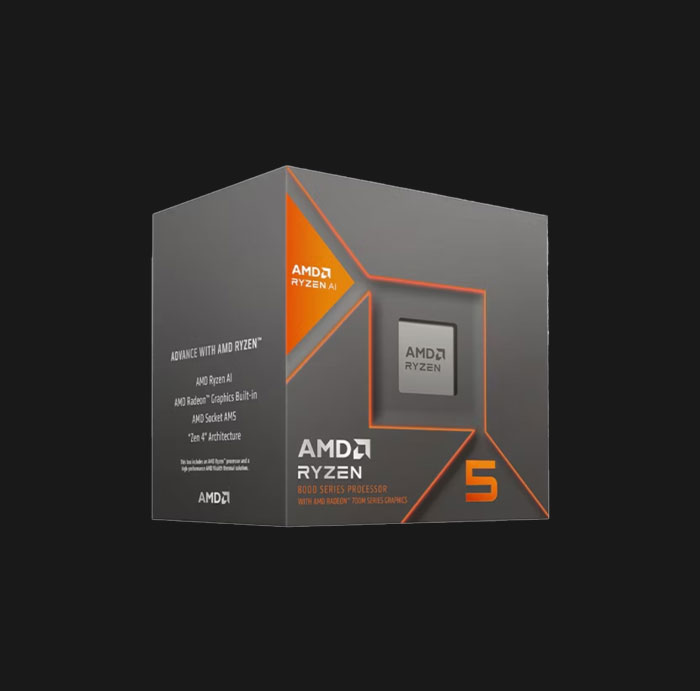 AMD RYZEN 5 8600G PROCESSOR - Computerage